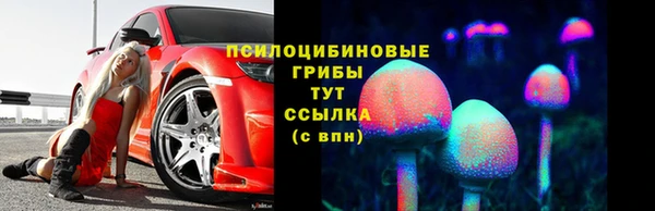 гидропоника Михайловка