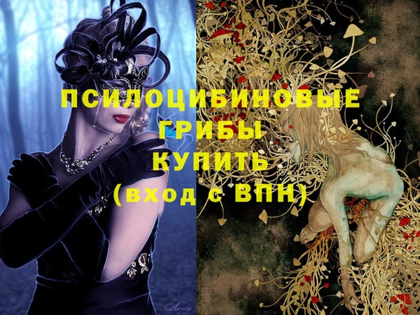 гидропоника Михайловка