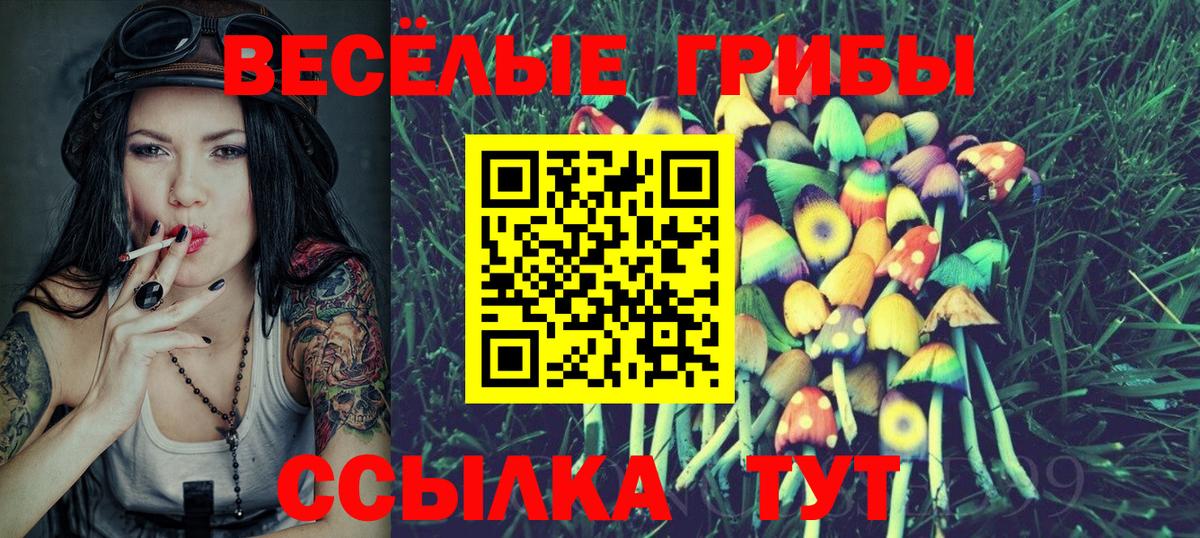 Севастополь  Галлюциногенные грибы мухоморы  Вход с VPN 