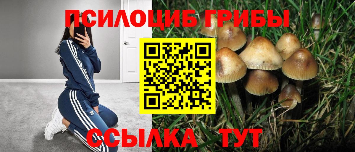 Галлюциногенные грибы мицелий Севастополь