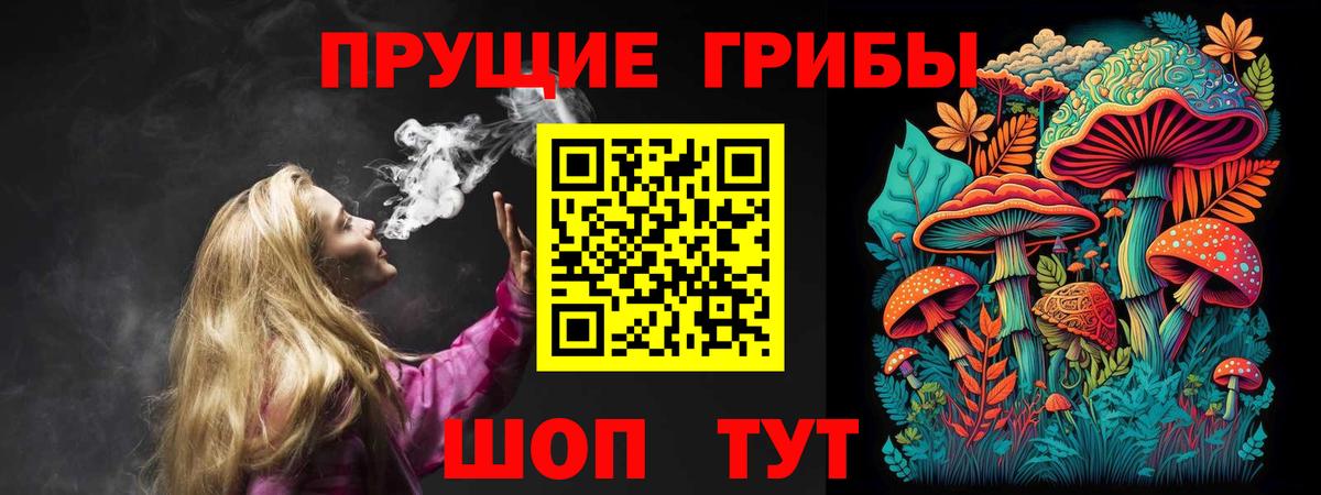 Псилоцибиновые грибы мицелий  Севастополь 